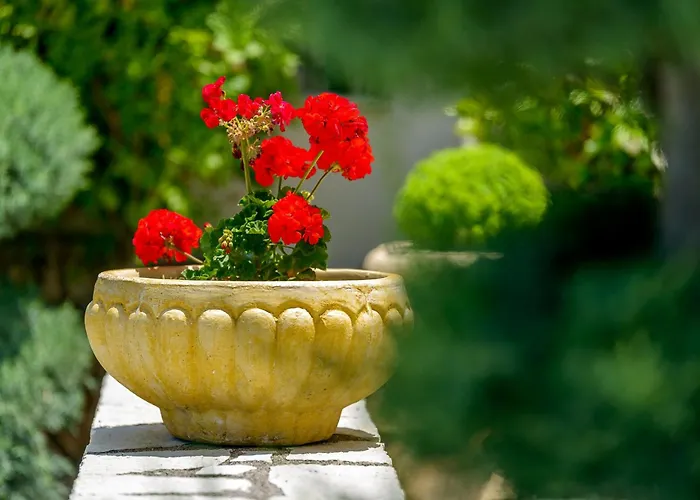 Ionian * Áyios Nikítas